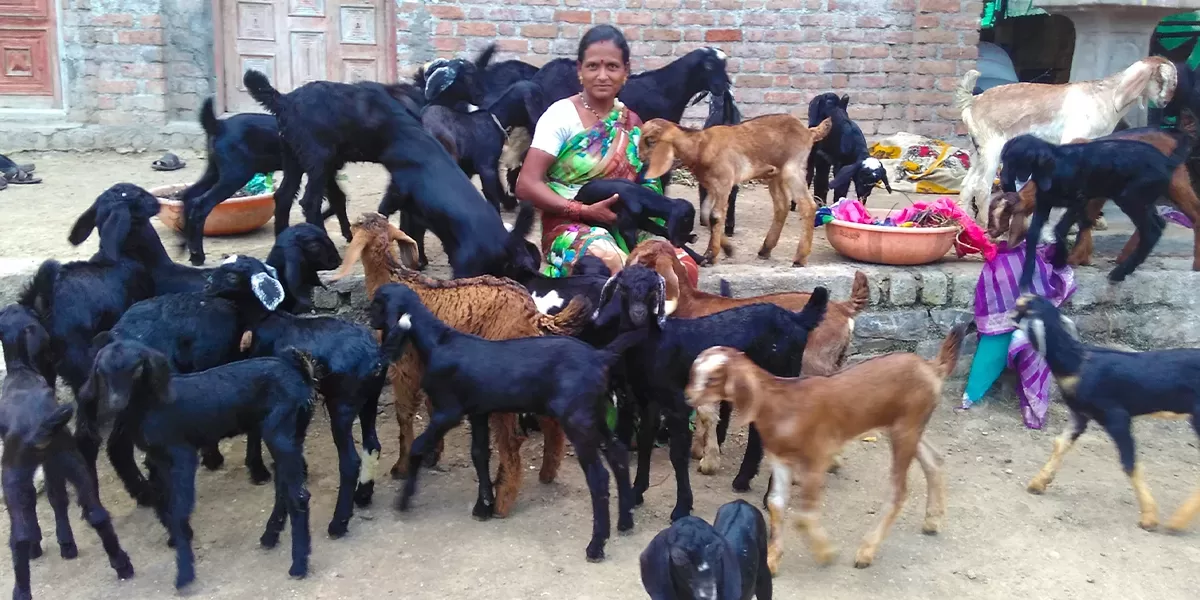 GOATERY Farming. The Future of Sustainable Agriculture